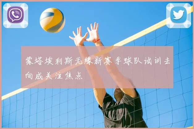 蒙塔埃利斯无缘新赛季球队试训去向成关注焦点