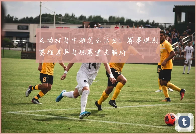 足协杯与中超怎么区分：赛事规则赛程差异与观赛重点解析