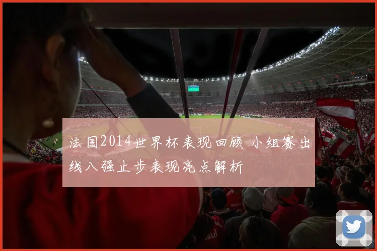 法国2014世界杯表现回顾 小组赛出线八强止步表现亮点解析