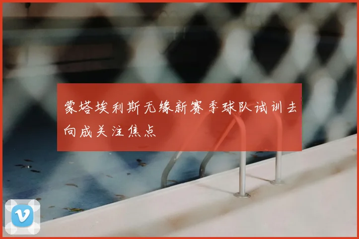 蒙塔埃利斯无缘新赛季球队试训去向成关注焦点
