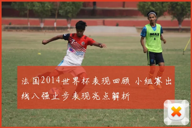 法国2014世界杯表现回顾 小组赛出线八强止步表现亮点解析