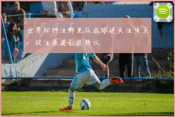 世界杯押注哪里压成球迷关注焦点，投注渠道引发热议