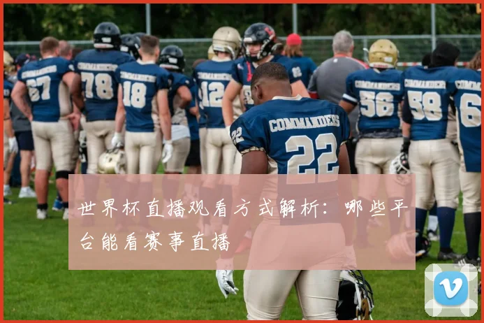 世界杯直播观看方式解析：哪些平台能看赛事直播