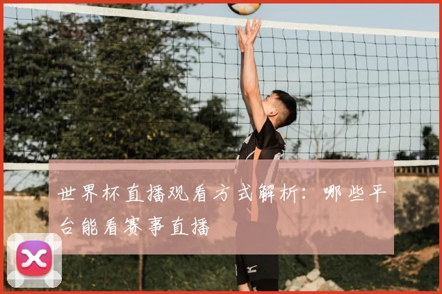 世界杯直播观看方式解析：哪些平台能看赛事直播