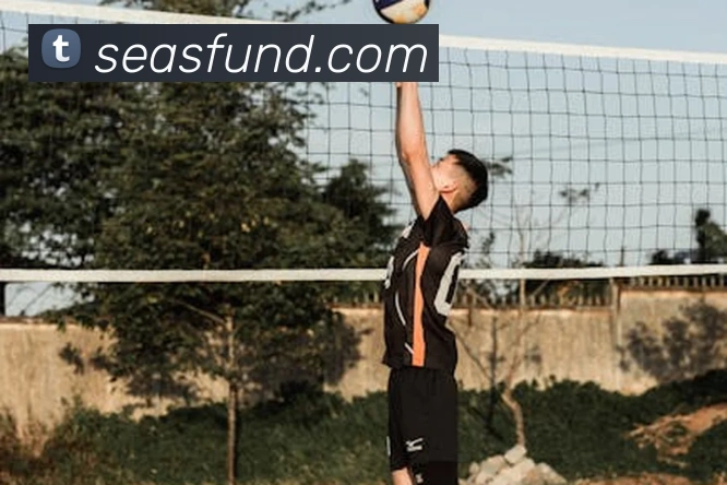 leyu乐鱼中国官方网站发展历程